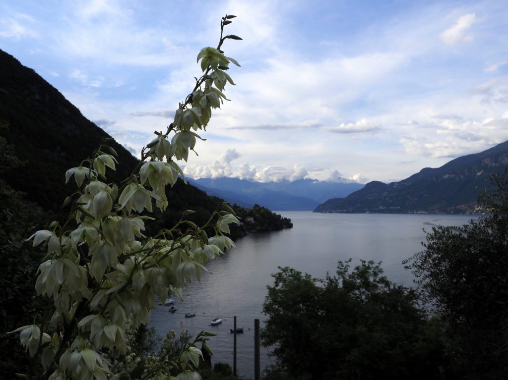 Bella Vista Casa Alessandro