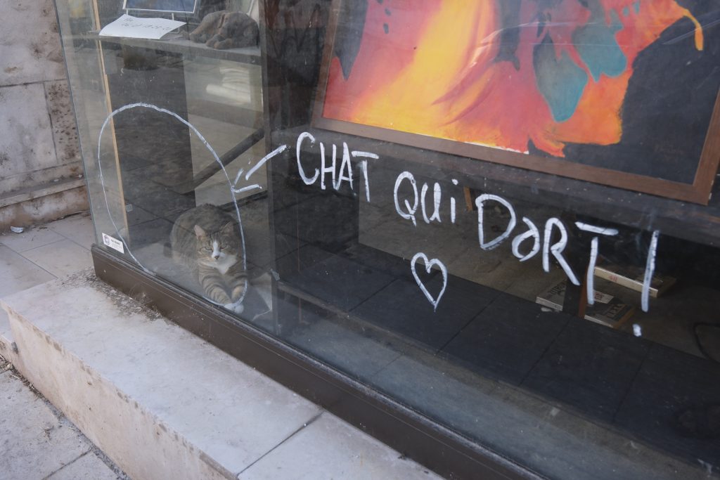 Katze im Fenster.